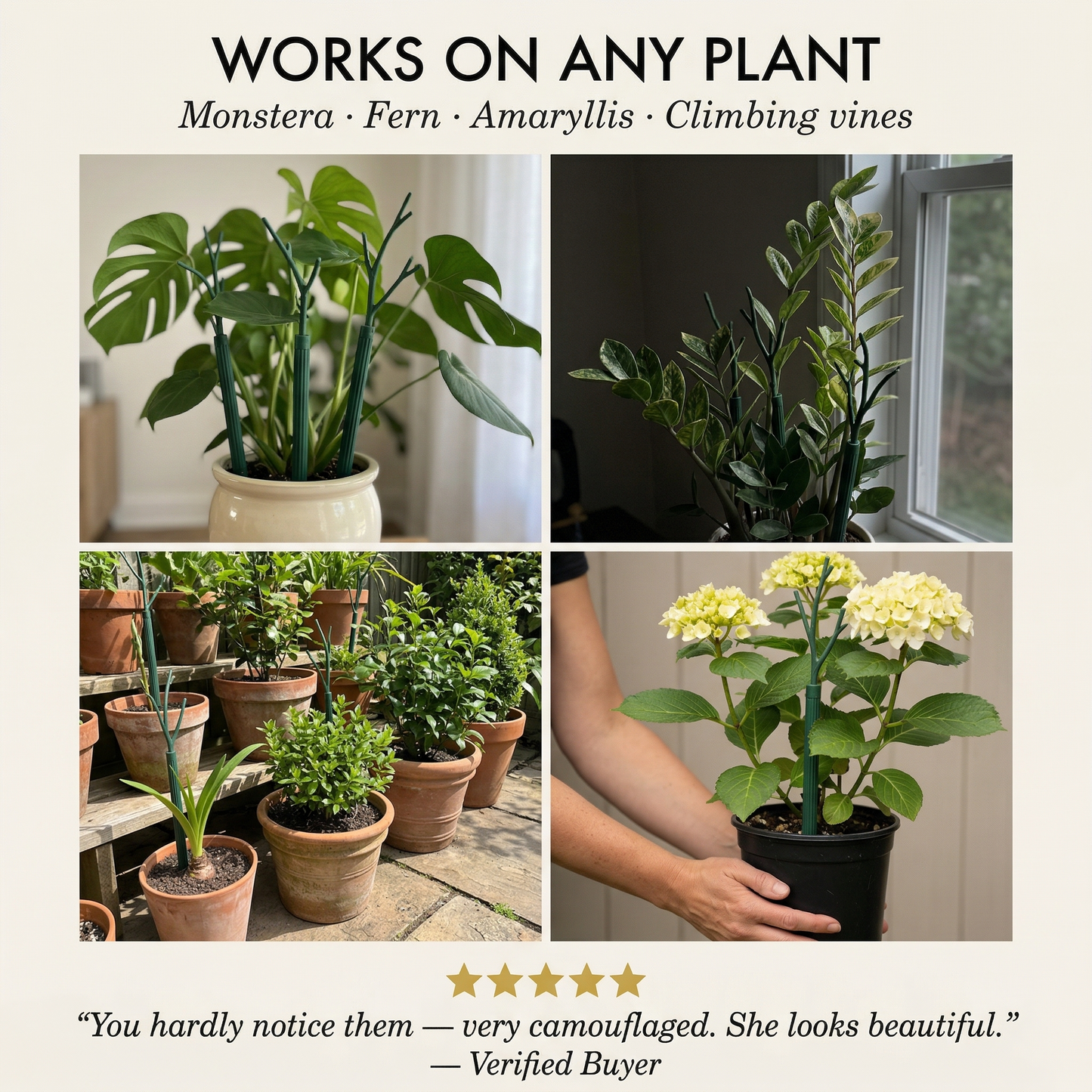 Tendrivaโข โ Stackable, Camouflage Plant Support Stakes for Monstera & Climbing Plants + 50% OFF