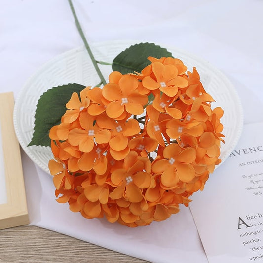 EverBloom Hydrangeas - A Perfect Garden, Effortlessly - 1+1 FREE