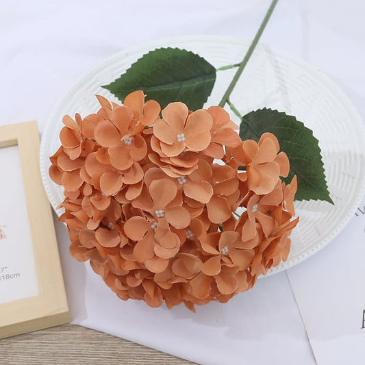 EverBloom Hydrangeas - A Perfect Garden, Effortlessly - 1+1 FREE